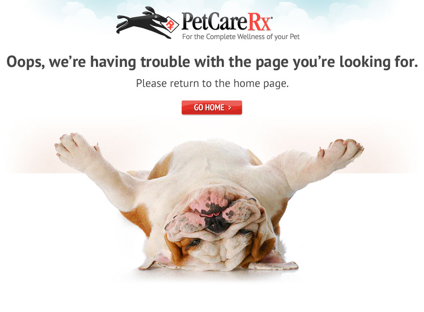 Sorry, a server error has occurred. Click here to go to the homepage.