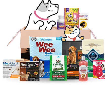 Affiliate Program